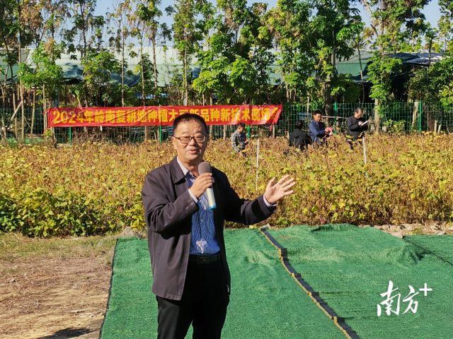 华南农业大学南方大豆研究院专家年海教授。